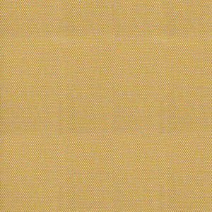 Greenhouse Fabric S4587 Amber