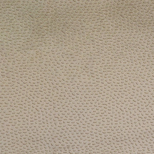 Greenhouse Fabric S4636 Foam