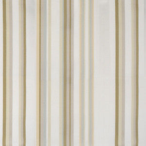 Greenhouse Fabric S4682 Cloud