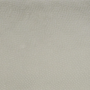 Greenhouse Fabric S4710 Nimbus