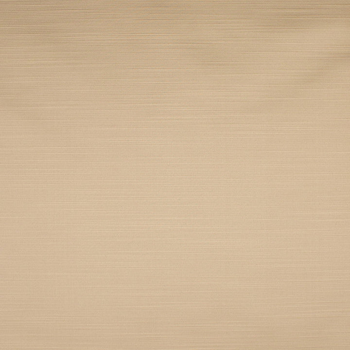 S4722 Cream by Greenhouse Designer Fabric 100% Polyester India 35,000 </p><p>Repeat: None 55" - Swanky Fabrics -