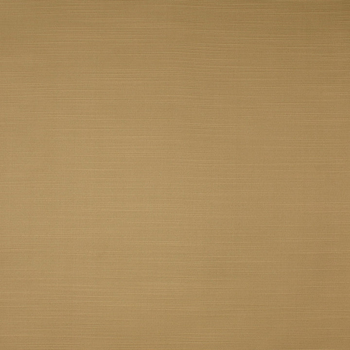 S4735 Sand by Greenhouse Designer Fabric 100% Polyester India 35,000 </p><p>Repeat: None 55" - Swanky Fabrics -