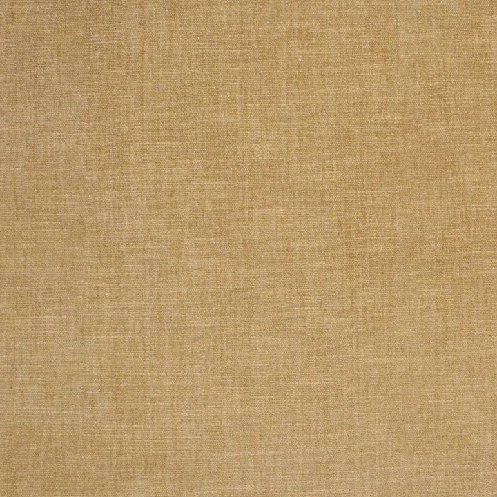 S4772 Sand by Greenhouse Designer Fabric 62% Polyester, 38% Cotton India 51,000 </p><p>Repeat: None 54" - Swanky Fabrics -