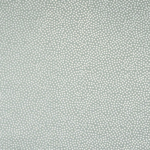 Greenhouse Fabric S4795 Aqua