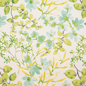 Greenhouse Fabric S4858 Citrus