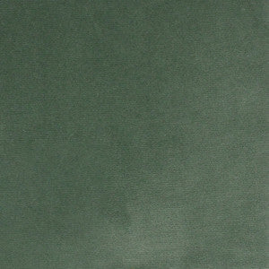 Greenhouse Fabric S4862 Aloe
