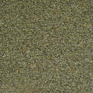 Greenhouse Fabric S4873 Pesto