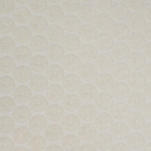 Greenhouse Fabric S4954 Cloud