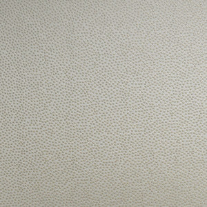 Greenhouse Fabric S4960 Ecru