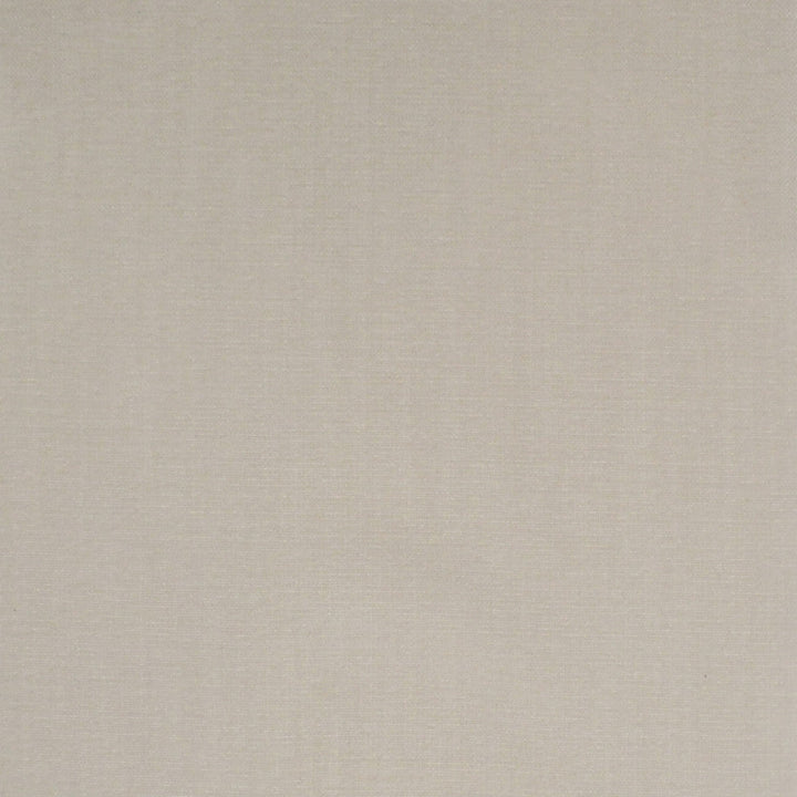 S4961 Winter White by Greenhouse Designer Fabric 70% Polyester, 30% Recycled Polyester China 51,000 </p><p>Repeat: None 55" - Swanky Fabrics -