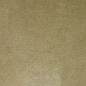 Greenhouse Fabric S4983 Champagne