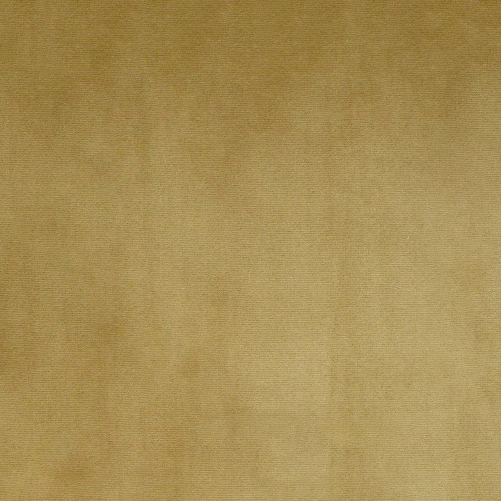 S4995 Stoneware by Greenhouse Designer Fabric S72: Fawn 100% Polyester Turkey 51,000 double rubs Water & Soil Repellent </p><p>Repeat: None 55" - Swanky Fabrics -