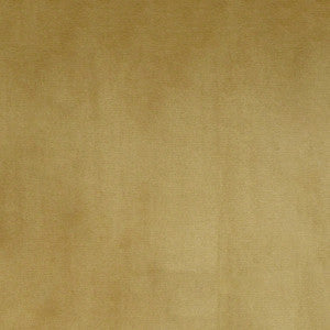 Greenhouse Fabric S4995 Stoneware