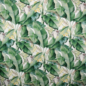 Greenhouse Fabric S5085 Aloe