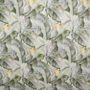 Greenhouse Fabric S5089 Meadow
