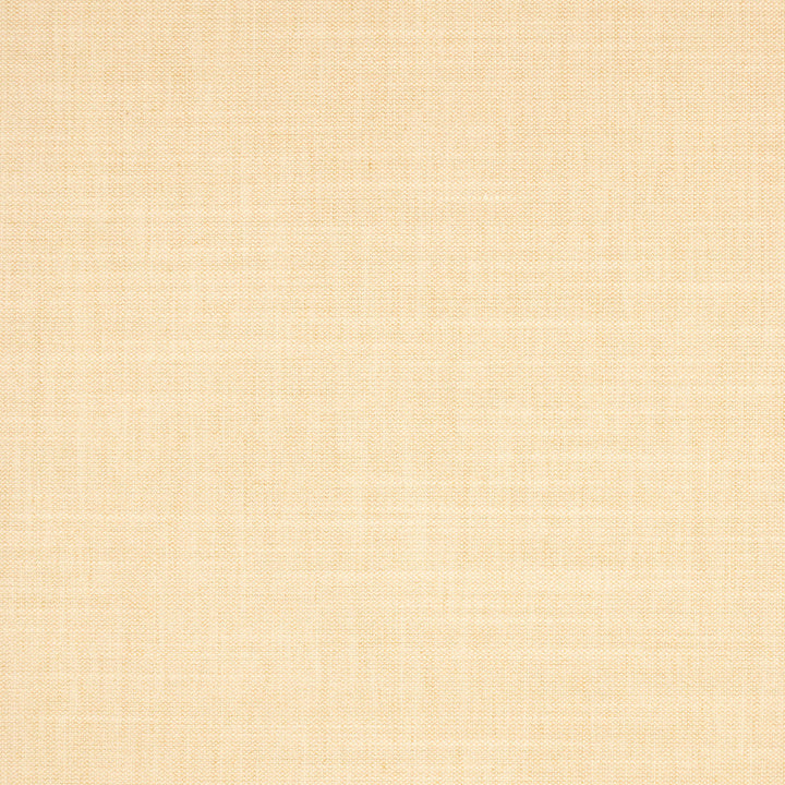 S5132 Shell by Greenhouse Designer Fabric 100% Polyester India 50,000 </p><p>Repeat: None 54" - Swanky Fabrics -