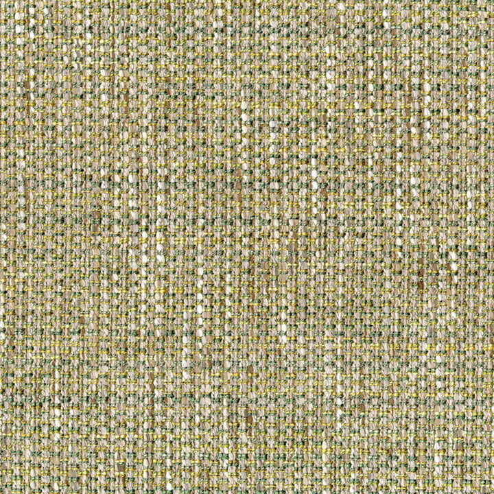 S5398 Grass by Greenhouse Designer Fabric 60% Acrylic, 40% Polyester Turkey 27,000 </p><p>Repeat: None 56" - Swanky Fabrics -