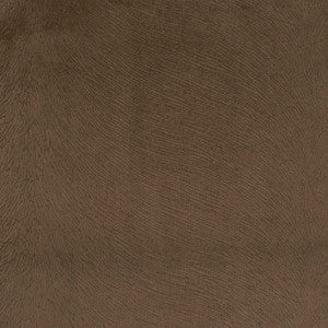 Greenhouse Fabric S5410 Cocoa
