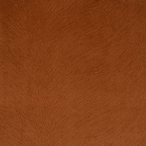 Greenhouse Fabric S5504 Curry