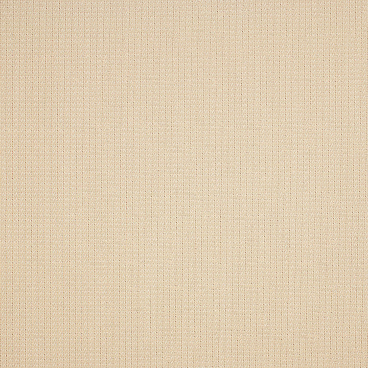 S5538 Pearl by Greenhouse Designer Fabric 100% Polyester USA 33,000 </p><p>Repeat: .188" H, .188" V 55" - Swanky Fabrics -
