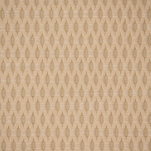 Greenhouse Fabric S5548 Wicker