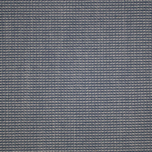 Greenhouse Fabric S5648 Pacific