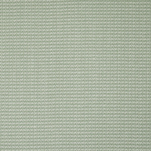 Greenhouse Fabric S5679 Surf