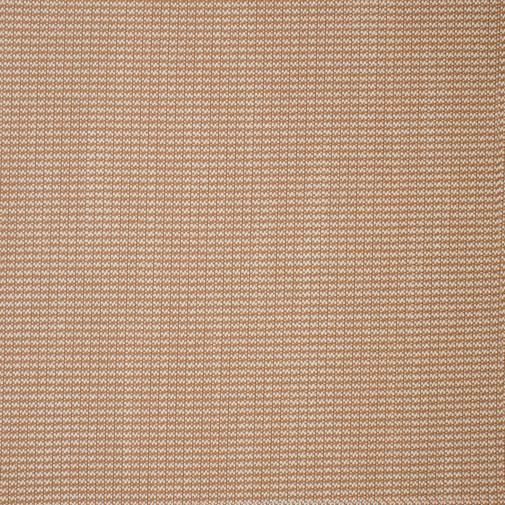 S5715 Blush by Greenhouse Designer Fabric 100% Polyester USA 33,000 </p><p>Repeat: .188" H, .188" V 55" - Swanky Fabrics -