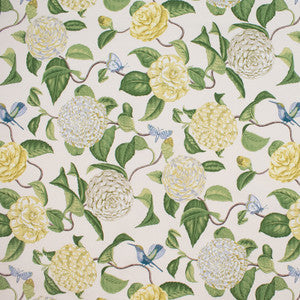Greenhouse Fabric S5759 Oasis
