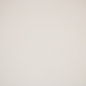 Greenhouse Fabric S5907 Snow