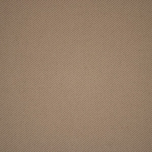Greenhouse Fabric S5917 Dune