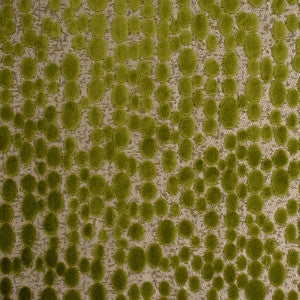 Greenhouse Fabric S6032 Peridot