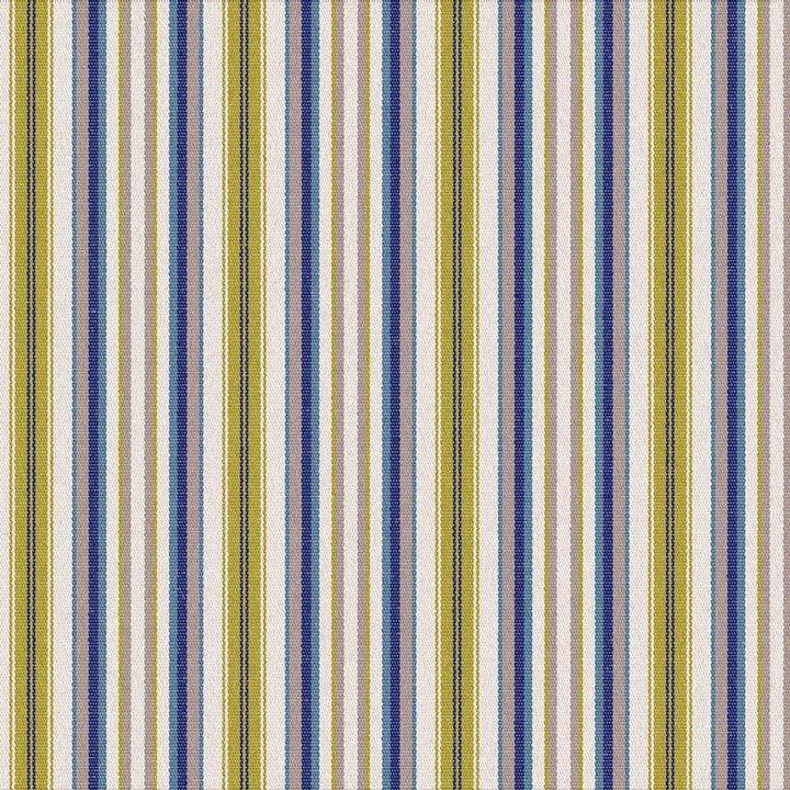 S6280 Sprout by Greenhouse Designer Fabric 100% Solution-Dyed Acrylic USA 60,000 </p><p>Repeat: 2.2" H, .1" V 54" - Swanky Fabrics -