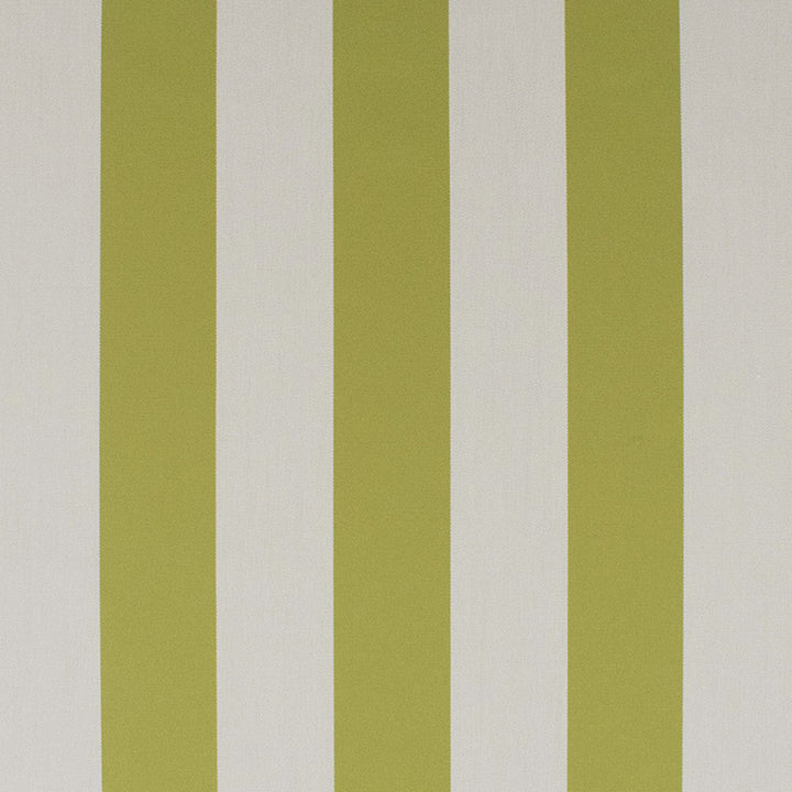 S6294 Basil by Greenhouse Designer Fabric 100% Solution-Dyed Acrylic USA 60,000 </p><p>Repeat: 4.5" H 54" - Swanky Fabrics -