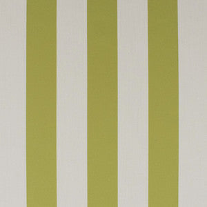 Greenhouse Fabric S6294 Basil
