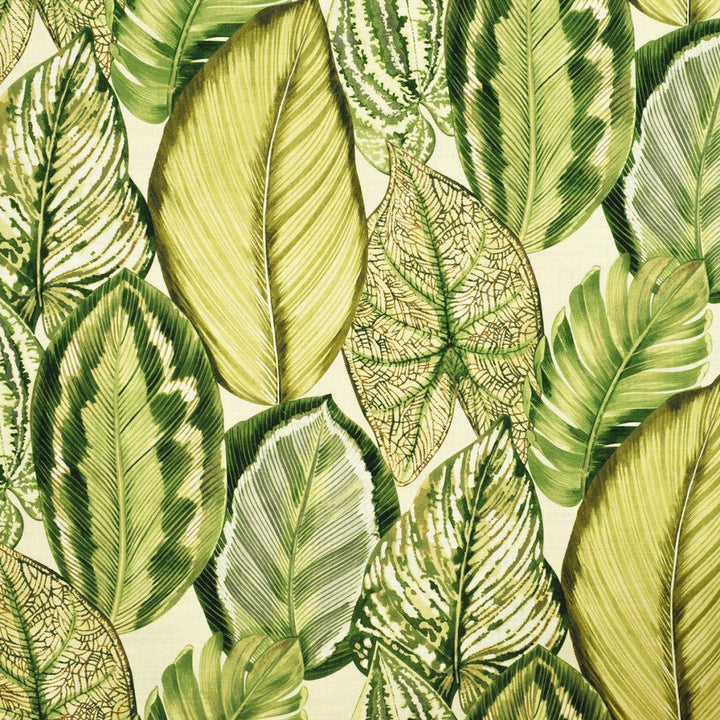 S6415 Dill by Greenhouse Designer Fabric 100% Cotton Peru 25,000 </p><p>Repeat: 13.5" H, 25.25" V 54" - Swanky Fabrics -