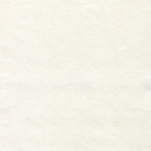 Greenhouse Fabric S6465 Natural