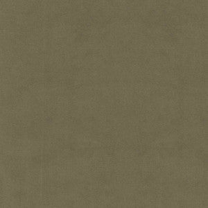 Greenhouse Fabric S6478 Vetiver