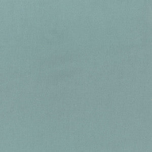 Greenhouse Fabric S6480 Seaglass