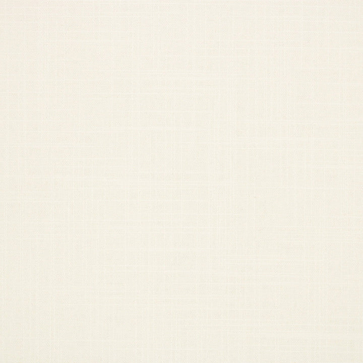 S6542 Optic White by Greenhouse Designer Fabric 100% Polyester India 100,000 </p><p>Repeat: None 54" - Swanky Fabrics -