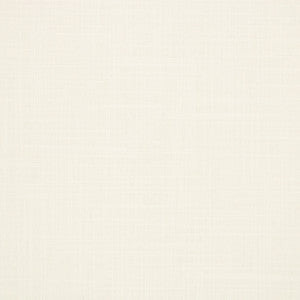 Greenhouse Fabric S6542 Optic White