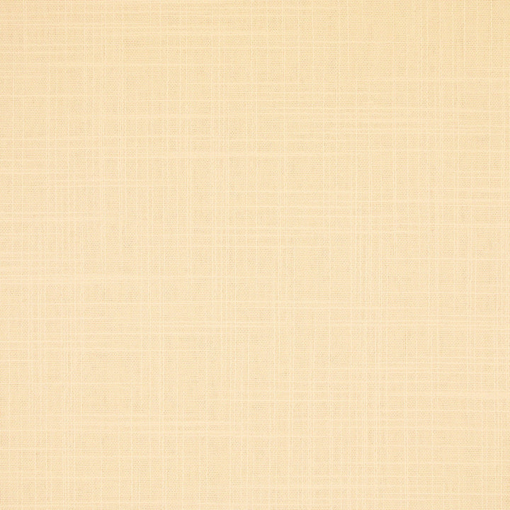 S6547 Cream by Greenhouse Designer Fabric 100% Polyester India 100,000 </p><p>Repeat: None 54" - Swanky Fabrics -