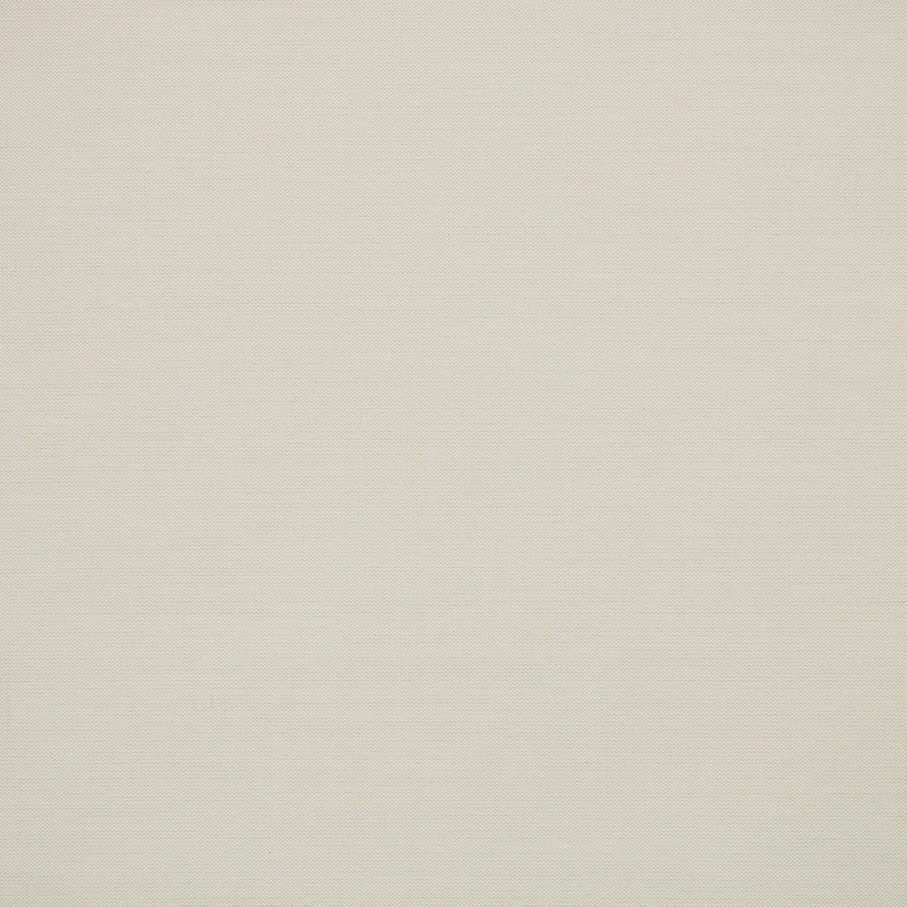 S6560 Pebble by Greenhouse Designer Fabric 100% Polyester India 100,000 </p><p>Repeat: None 54" - Swanky Fabrics -