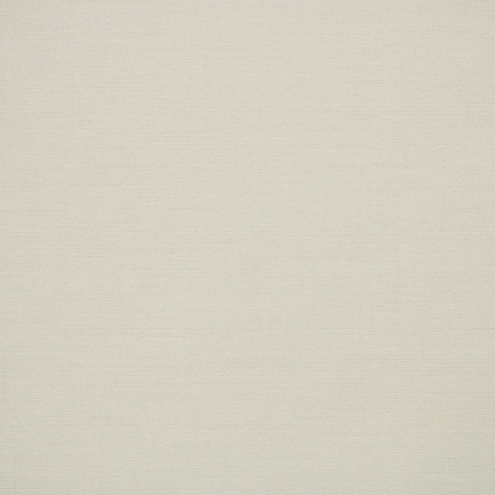 S6560 Pebble by Greenhouse Designer Fabric 100% Polyester India 100,000 </p><p>Repeat: None 54" - Swanky Fabrics -