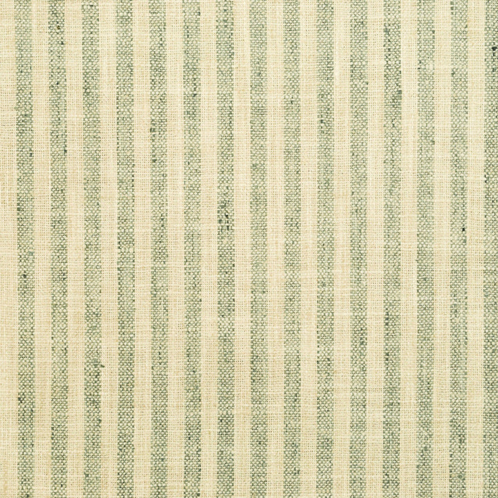 S6620 Aloe by Greenhouse Designer Fabric 50% Polyester, 50% Recycled Polyester India 51,000 </p><p>Repeat: 1" H 54" - Swanky Fabrics -