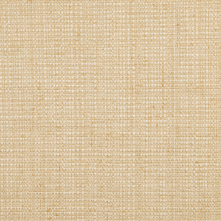 S6634 Papyrus by Greenhouse Designer Fabric 100% Polyester India 100,000 </p><p>Repeat: None 54" - Swanky Fabrics -