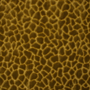 Greenhouse Fabric S6743 Gold