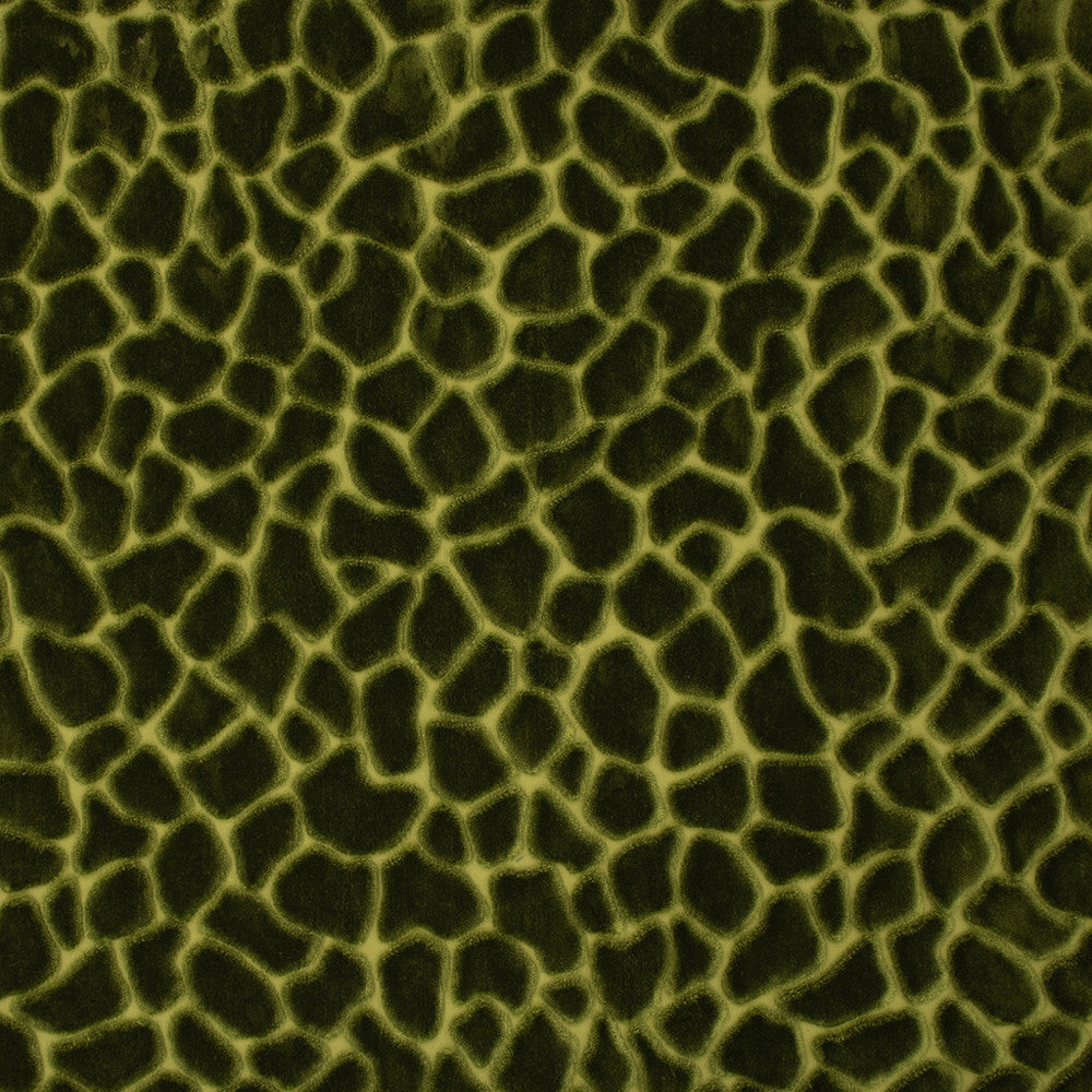 S6756 Forest by Greenhouse Designer Fabric 82% Polyester Filament, 18% Polyester Spn India 100,000 </p><p>Repeat: 14.59" H, 28" V 55" - Swanky Fabrics -