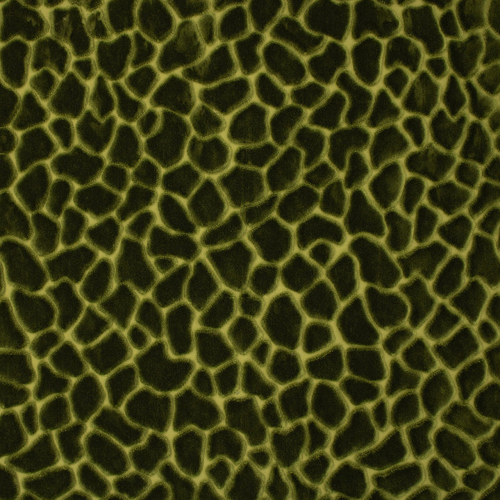 S6756 Forest by Greenhouse Designer Fabric 82% Polyester Filament, 18% Polyester Spn India 100,000 </p><p>Repeat: 14.59" H, 28" V 55" - Swanky Fabrics -