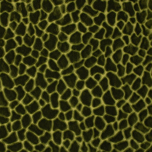 Greenhouse Fabric S6756 Forest